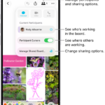 A shared Freeform board on iPhone with the collaboration menu open.