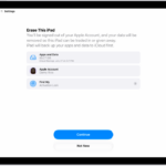 The Erase This iPad screen.