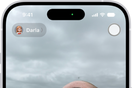 The FaceTime screen showing a call in progress. At the top of the screen is the name of the participant shown in the larger image. The other participant's image appears in a small rectangle in the lower left, along with the Flip Camera button. The images of the other participants appear in tiles above it. Additional FaceTime controls are at the bottom right of the screen: Camera, Microphone, More, and End Call buttons.