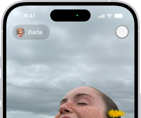 The FaceTime screen showing a call in progress. At the top of the screen is the name of the participant shown in the larger image. The other participant's image appears in a small rectangle in the lower left, along with the Flip Camera button. The images of the other participants appear in tiles above it. Additional FaceTime controls are at the bottom right of the screen: Camera, Microphone, More, and End Call buttons.