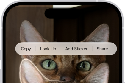 A photo is open in the Photos app library. The subject in the center of the photo is outlined and the Copy, Add Sticker, and Share buttons appear above it.