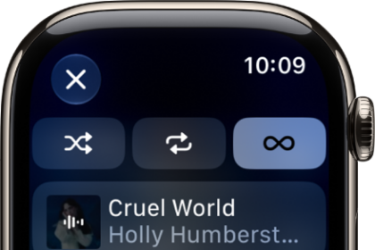 The tracklist window showing Shuffle, Repeat, and Auto Play buttons at the top, and one track directly below. Near the bottom, another track appears below Playing Next. A Close button is at the top left.