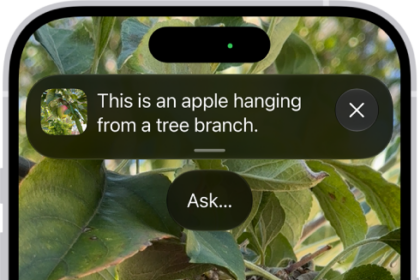 The Magnifier app showing a close-up of an unripe apple.