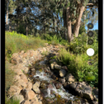 The Camera open in Photo mode.