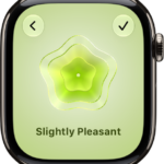 The Mindfulness app screen showing the State of Mind screen with a visual in the center. An emotion is listed below.