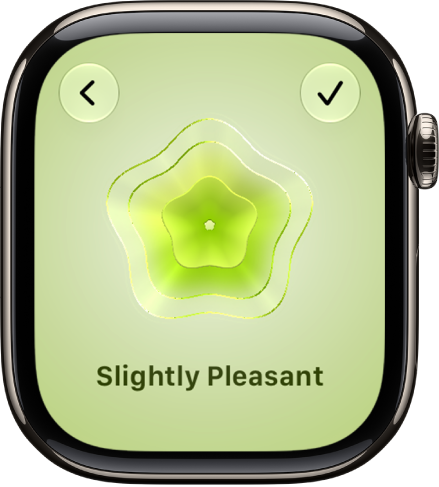 The Mindfulness app showing a state of mind status.