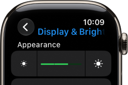 Display & Brightness settings on Apple Watch, with the Brightness slider at the top, and the Text Size button below.