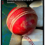 An iPhone screen shows a response from Siri identifying what's in the camera viewfinder.