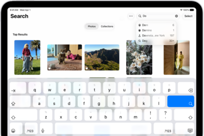 The Search screen in the Photos app. At the top of the screen is the search field and below it are suggestions.